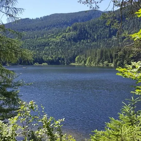 Grimmingblick - Auszeit Vom Alltag Apartament Obersdorf