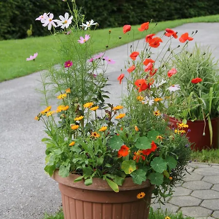 Grimmingblick - Auszeit Vom Alltag *