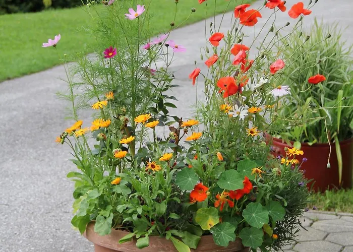 Grimmingblick - Auszeit Vom Alltag *